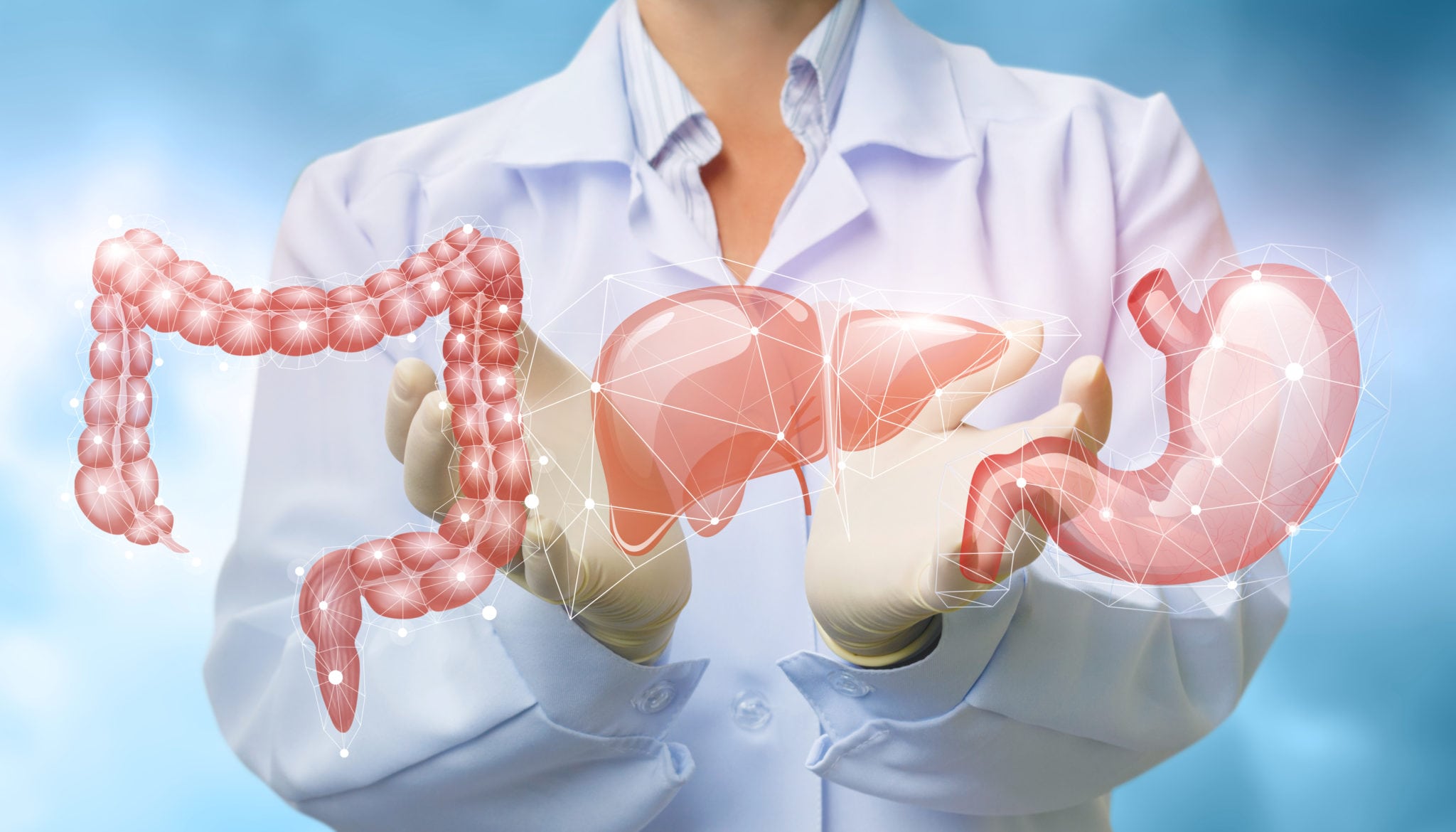 A doctor holding an image of the digestive system.