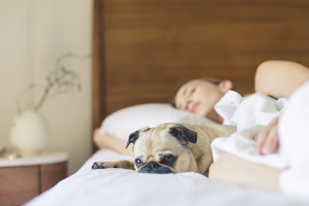 5 Tips to Help Sleep Your Way to Wellness