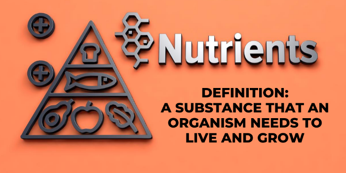 7 INCREDIBLY COMMON NUTRIENT DEFICIENCIES