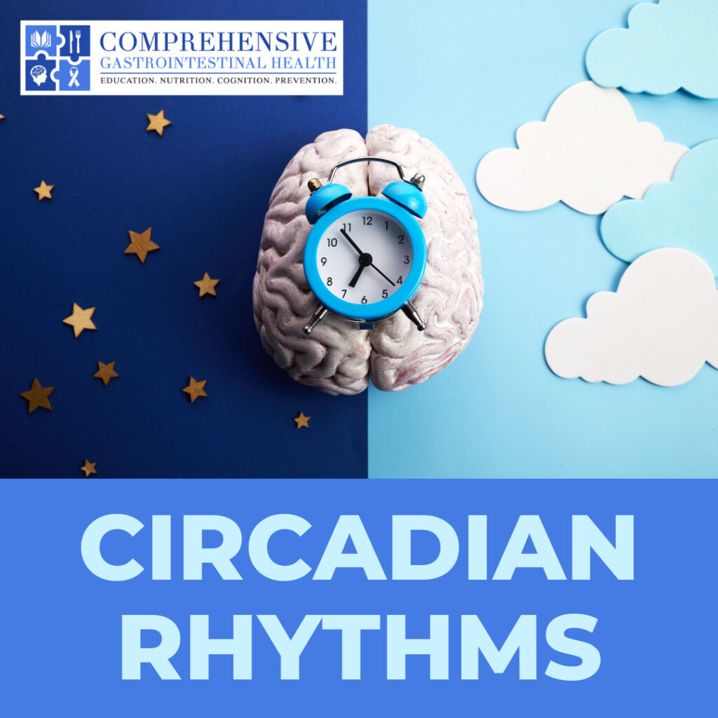 Circadian Rhythm: Four Ways to Stay In Sync & Improve Your Health